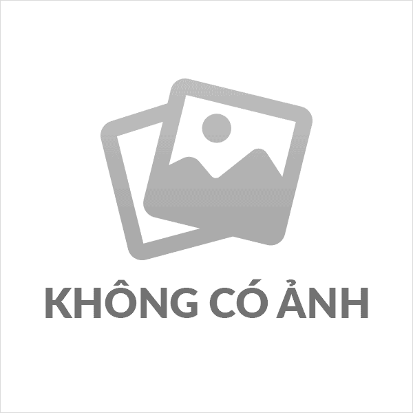 07h30 Dự Đại hội đại biểu Đảng bộ xã Phù Mỹ Bắc